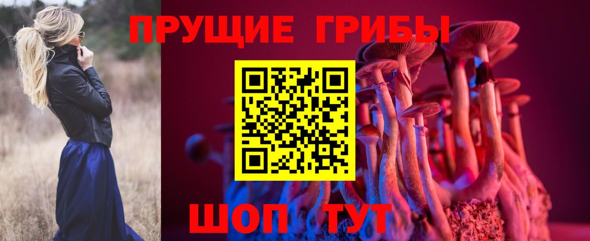 Псилоцибиновые грибы прущие грибы Большой Камень