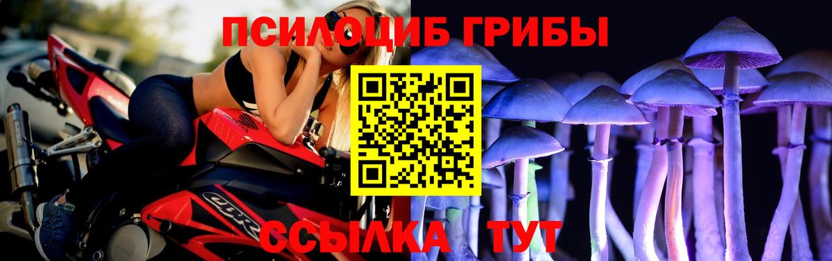 Галлюциногенные грибы GOLDEN TEACHER  Псилоцибиновые грибы прущие грибы  Вход с VPN  дарнет шоп  Большой Камень 